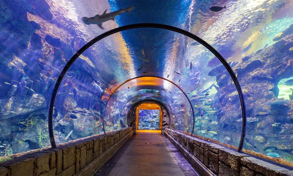 Las,Vegas,,Jun,29,,2021,-,Underwater,Tunnel,In,The